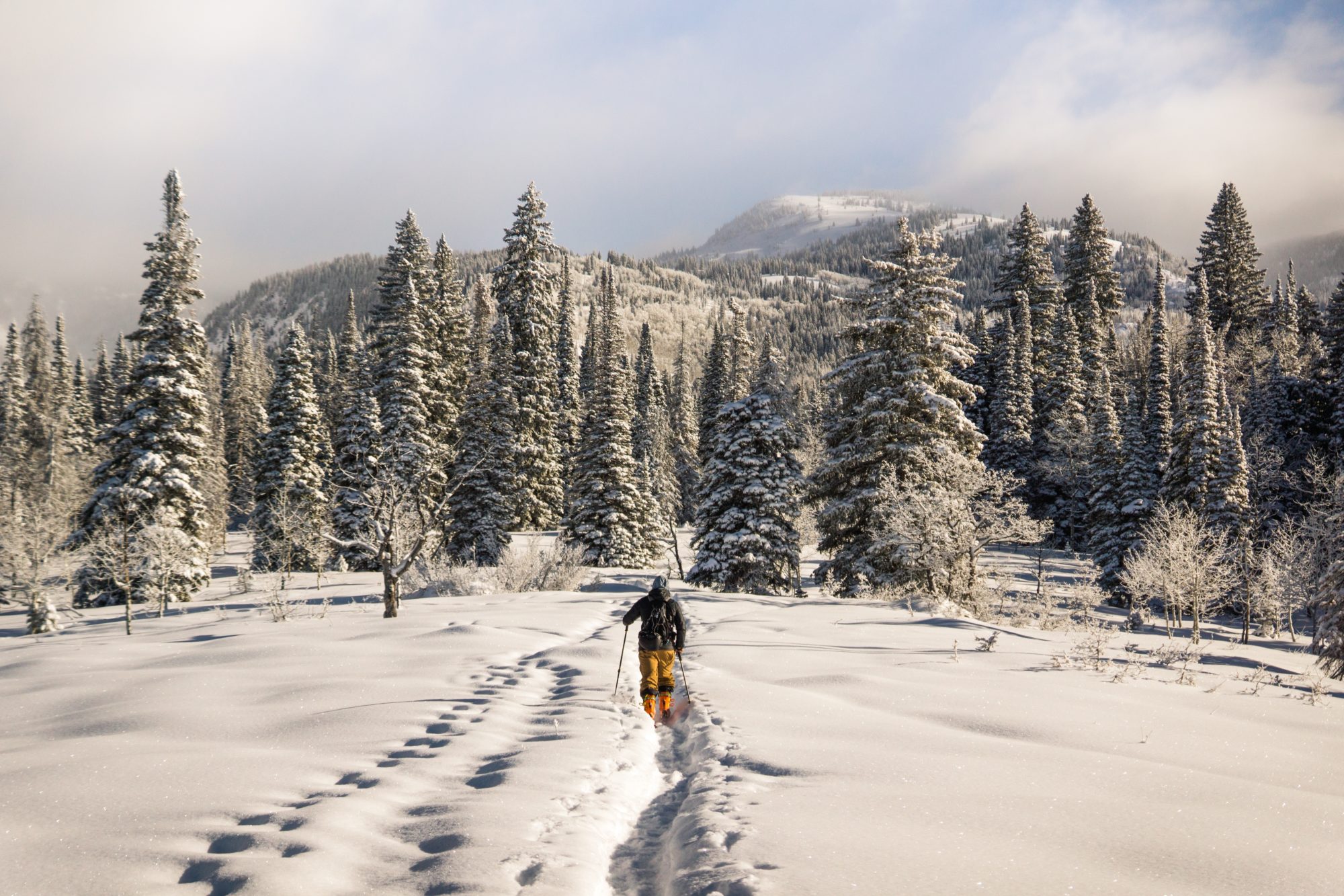 Nordic Skiing in Steamboat Springs, Colorado