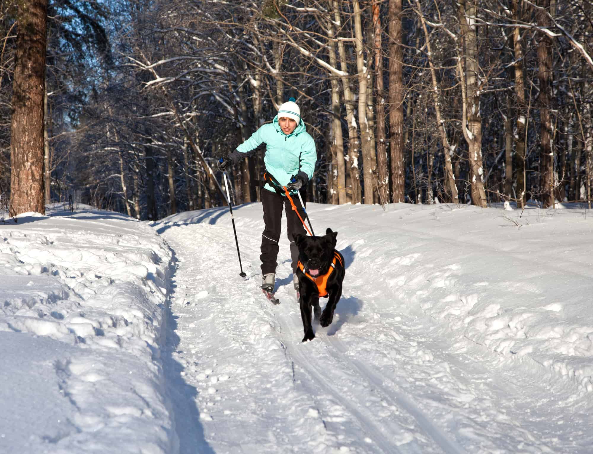 inn travel cross country skiing